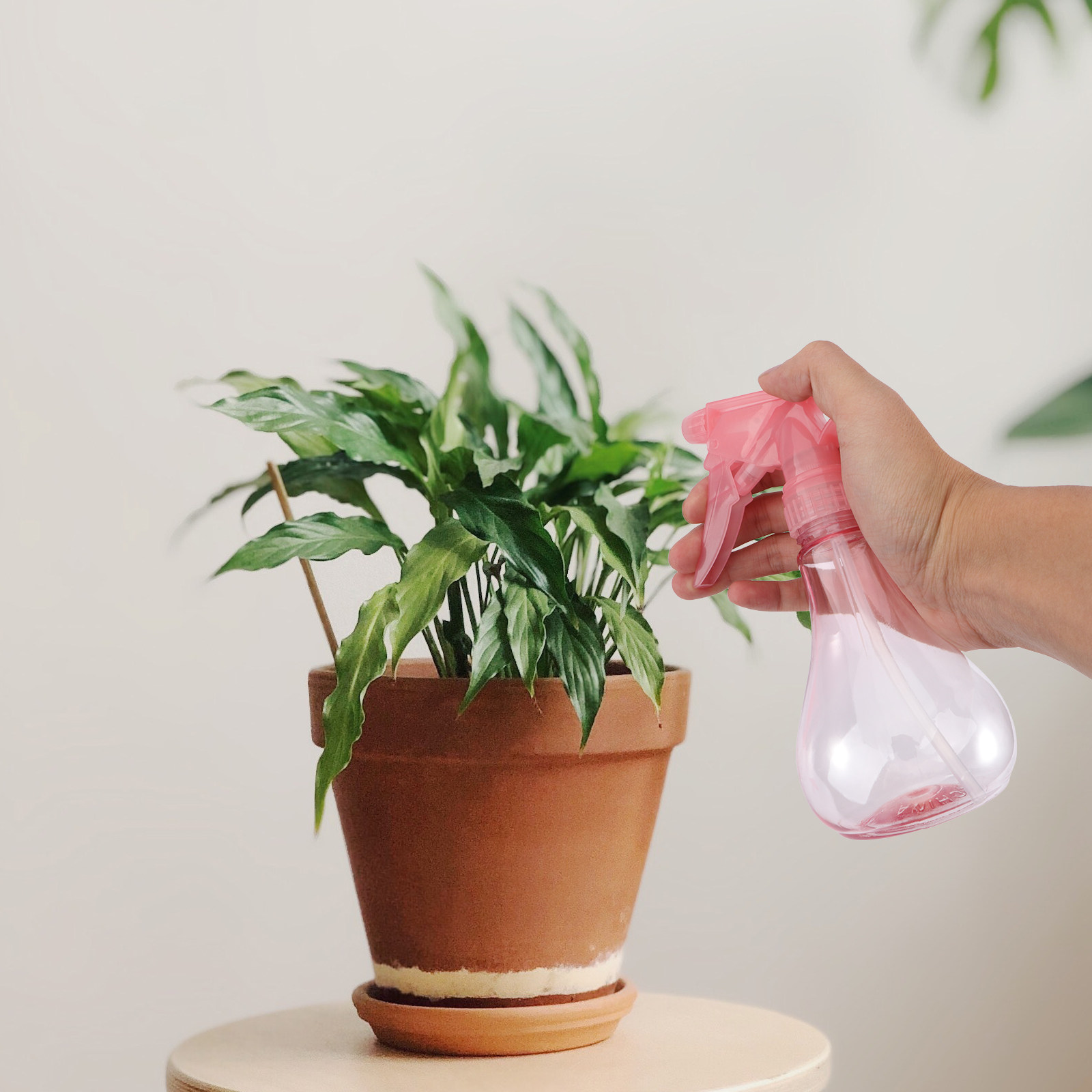 Succulent Set - مجموعة أدوات زراعة النباتات الصغيرة، مجموعة