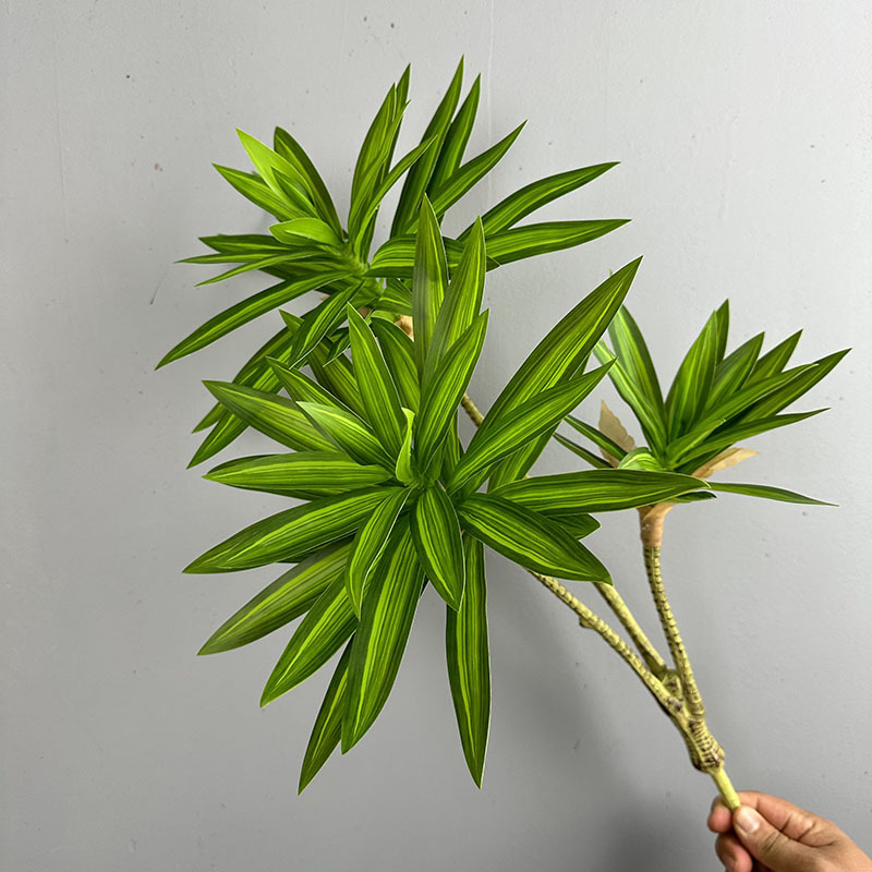Snake Plant - نباتات خضراء مقلدة 3 رؤوس زنبق