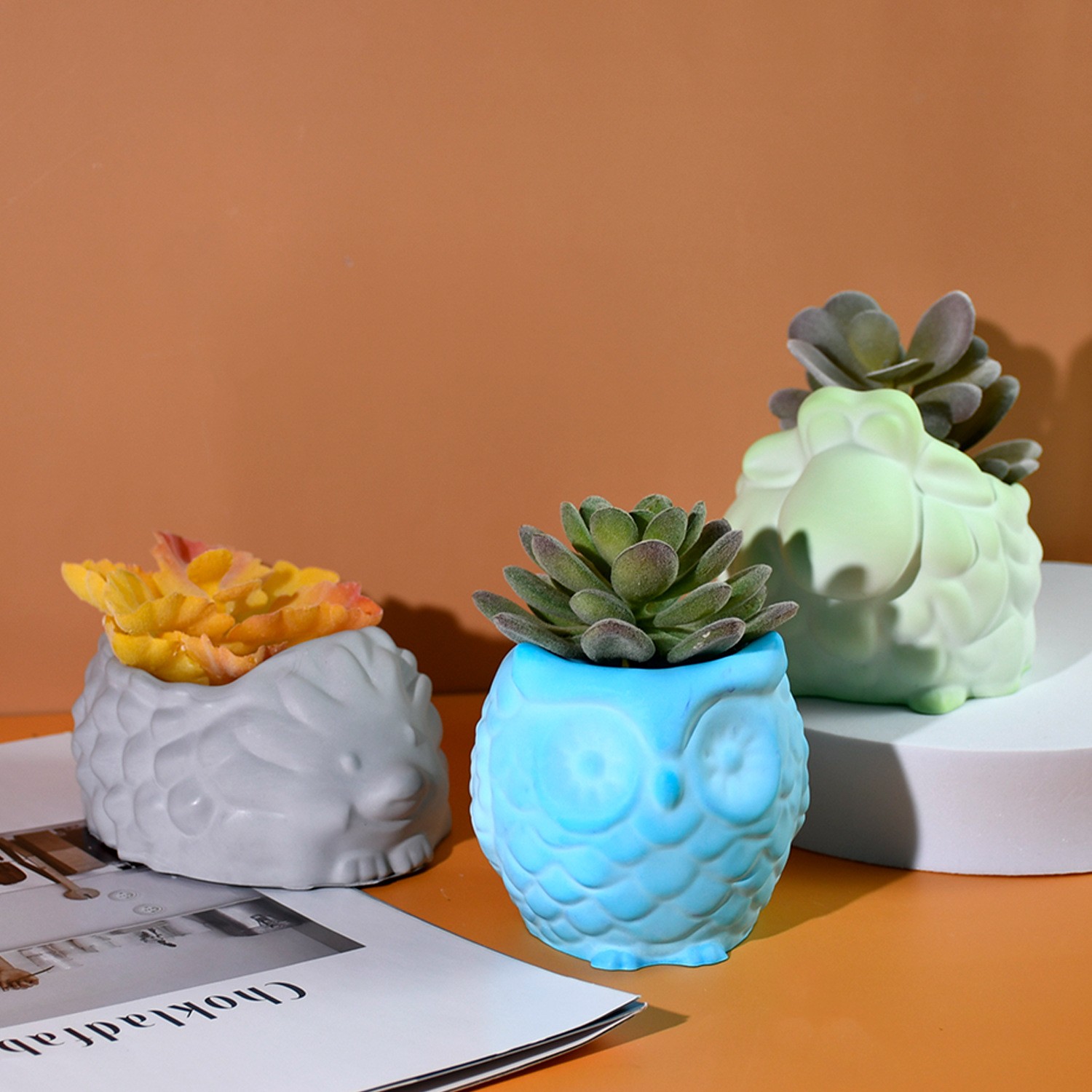 ثلاثية الأبعاد الحيوان اناء لل - مراجعة Succulent Set وسعره