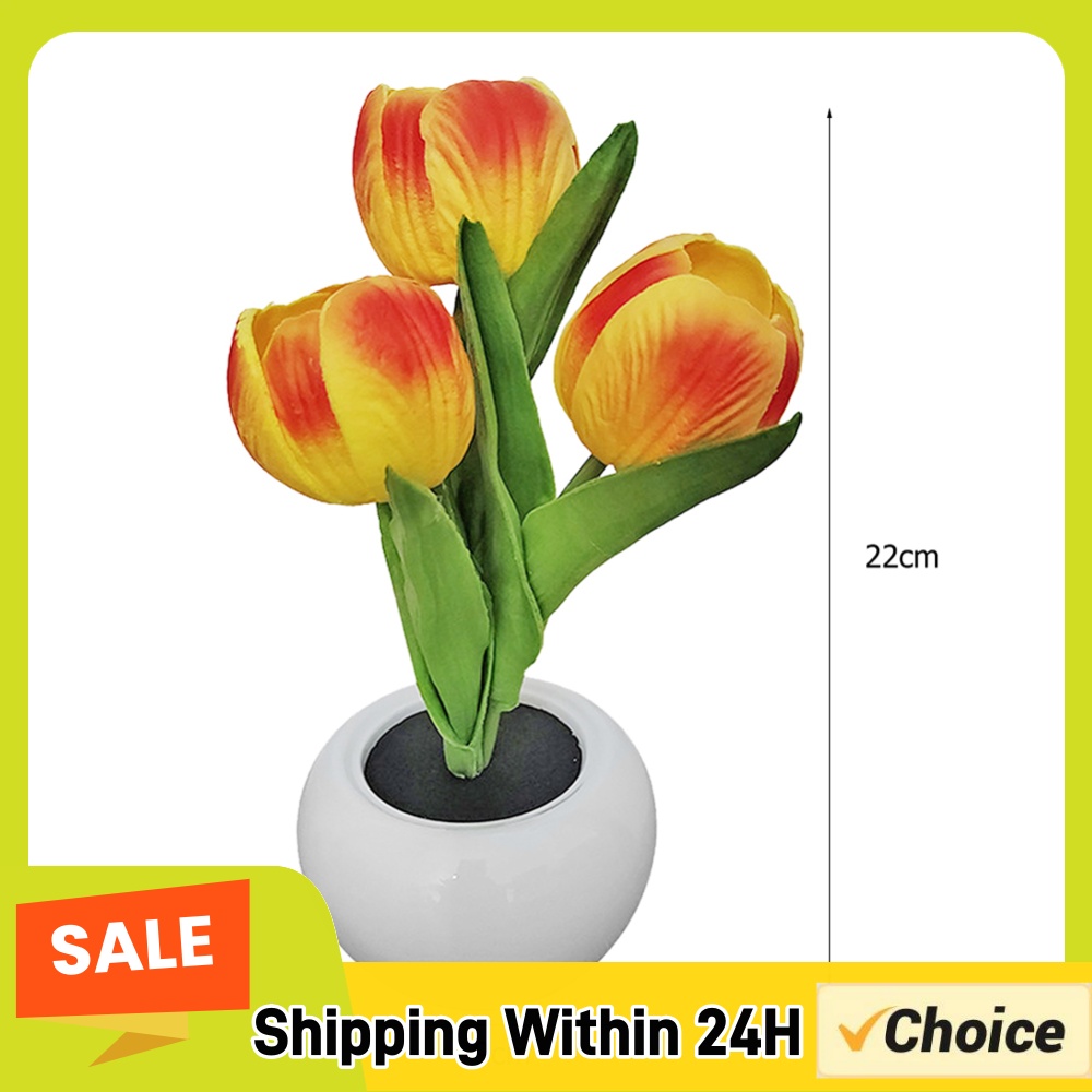 مصباح طاولة على شكل نبتة مزروع - مراجعة Plant Pot وسعره