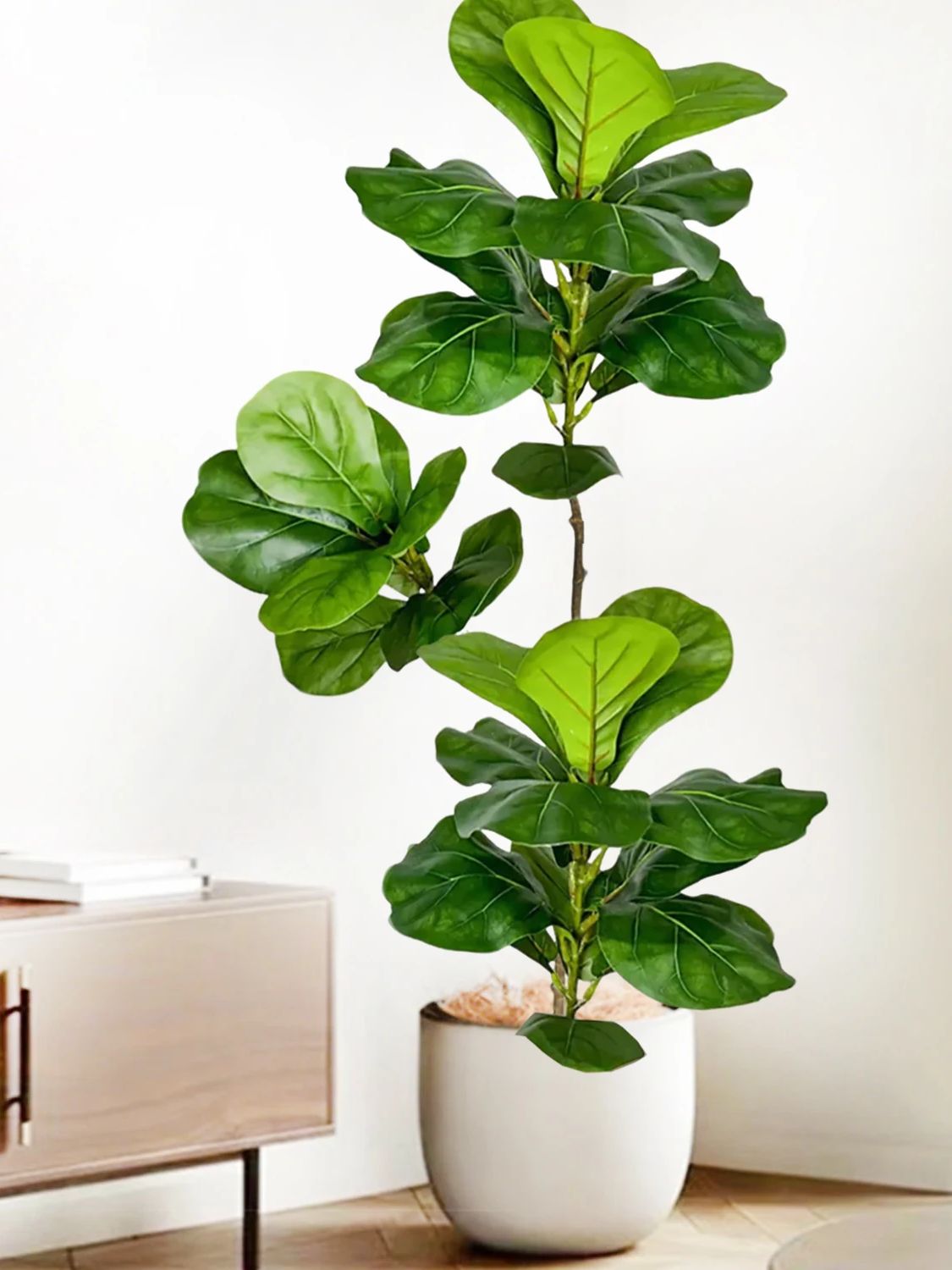 شجرة التين الاصطناعية بطول 45- - مراجعة Fiddle Leaf Fig وسعره
