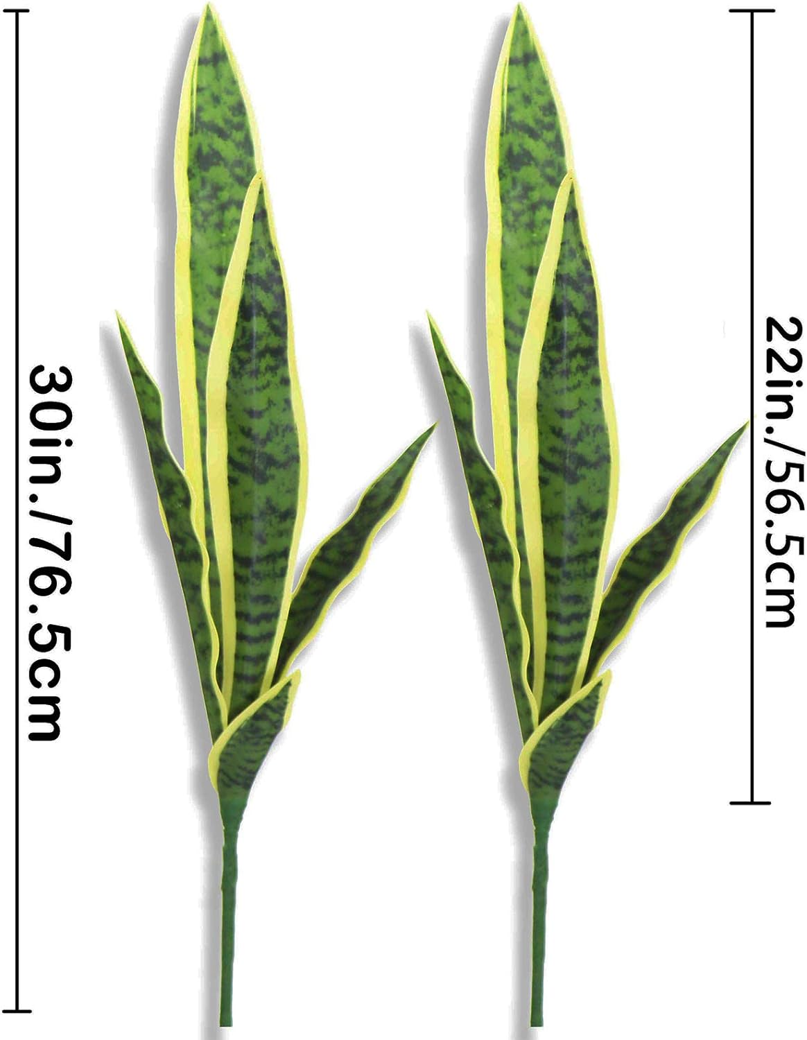 نباتات Sansevieria اصطناعية ثع - مراجعة Snake Plant وسعره