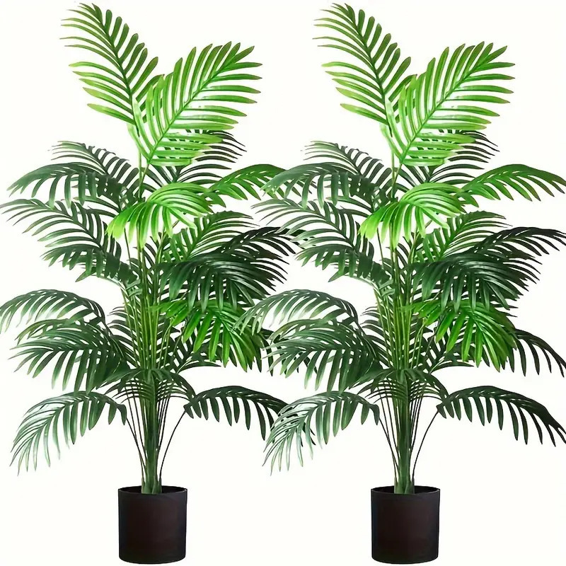 24 ورقة أريكا النخيل نباتات اص - مراجعة Snake Plant وسعره