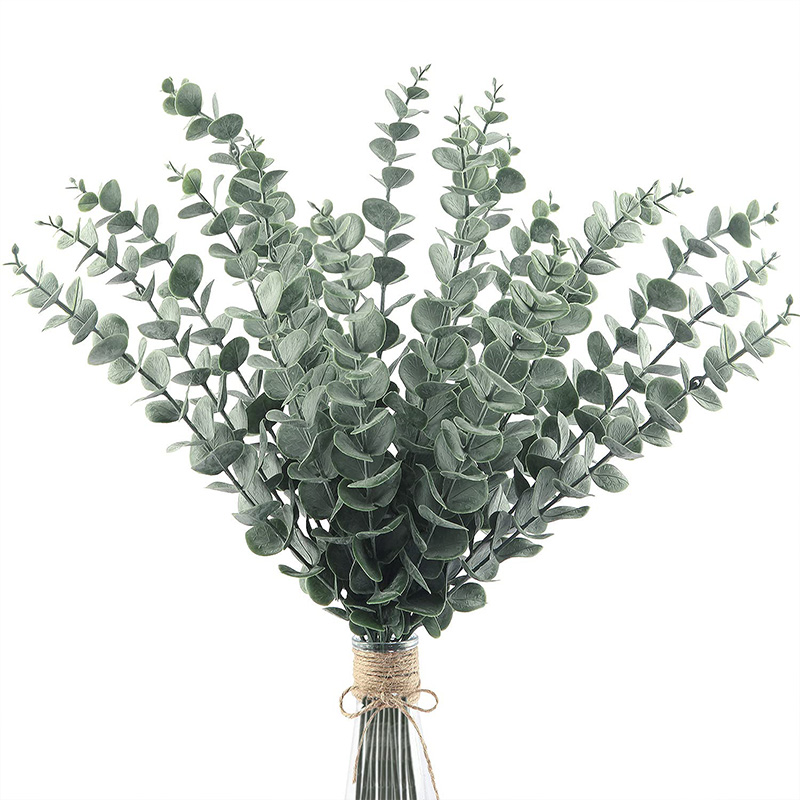 20 قطعة سيقان الأوكالبتوس الاص - مراجعة Fiddle Leaf Fig وسعره