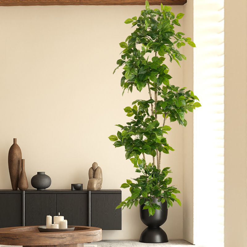 2-78in نباتات وهمية كبيرة الاص - مراجعة Fiddle Leaf Fig وسعره