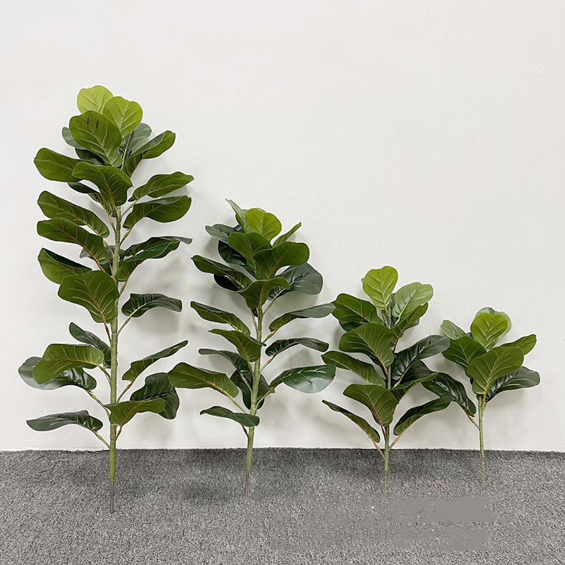 59in كبير اللبخ شجرة النباتات  - مراجعة Fiddle Leaf Fig وسعره