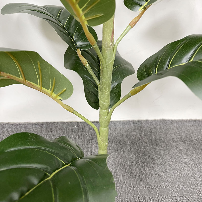 59in كبير اللبخ شجرة النباتات  - مراجعة Fiddle Leaf Fig وسعره