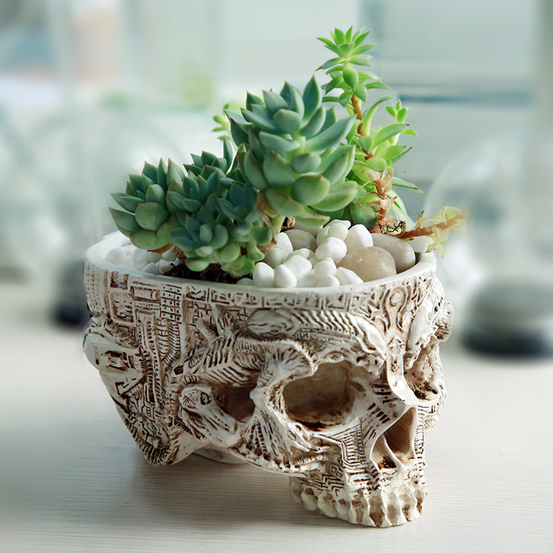 وعاء زهور جمجمة لديكور حديقة ا - مراجعة Snake Plant Ceramic وسعره