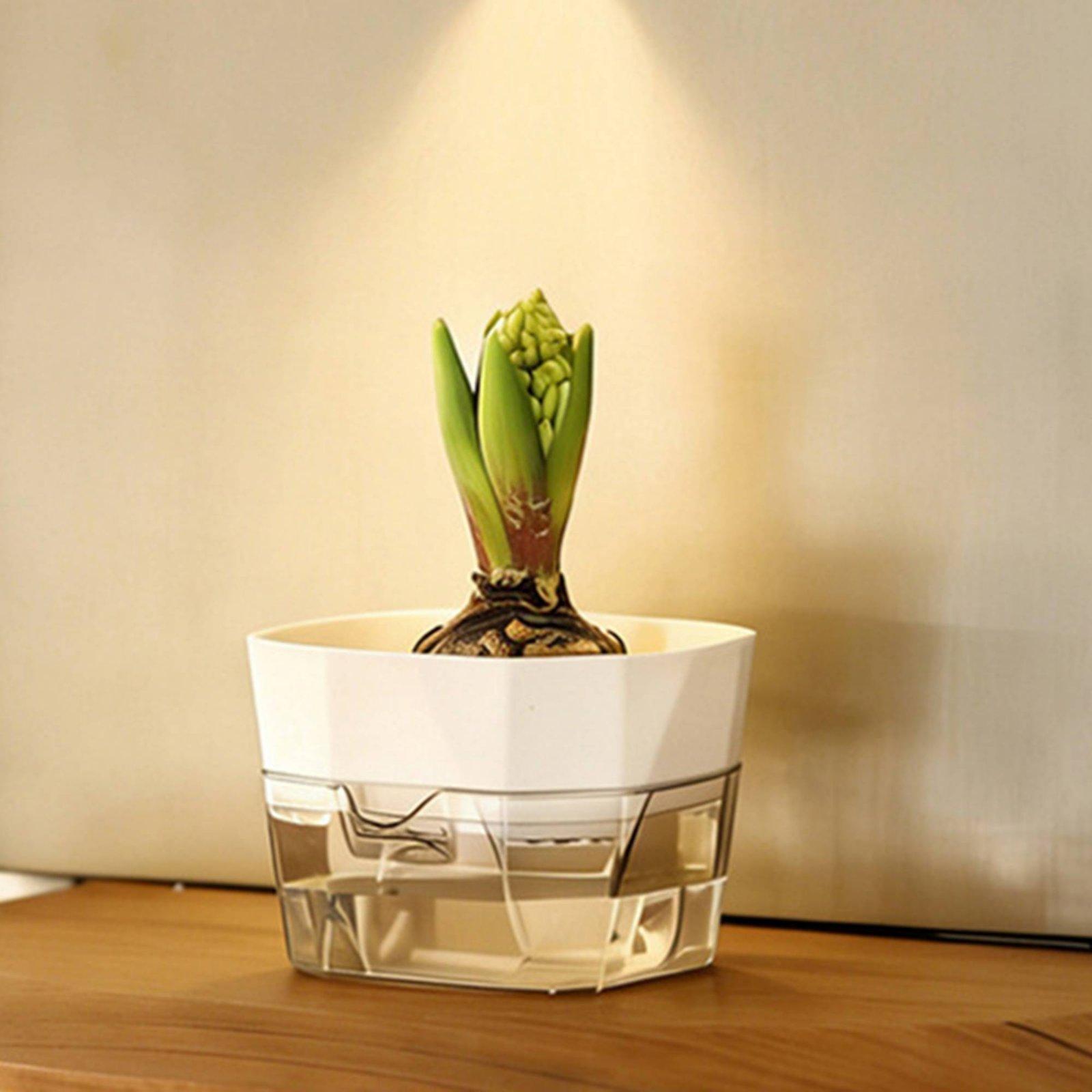 وعاء زراعة مائية ذاتي الري بطب - مراجعة Plant Pot وسعره