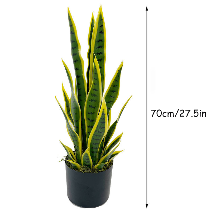 نبات السانسيفيريا الاصطناعي بط - مراجعة Snake Plant وسعره