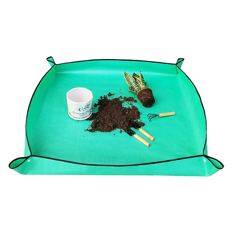 حصيرة إعادة زراعة النباتات مقا - مراجعة Succulent Set وسعره