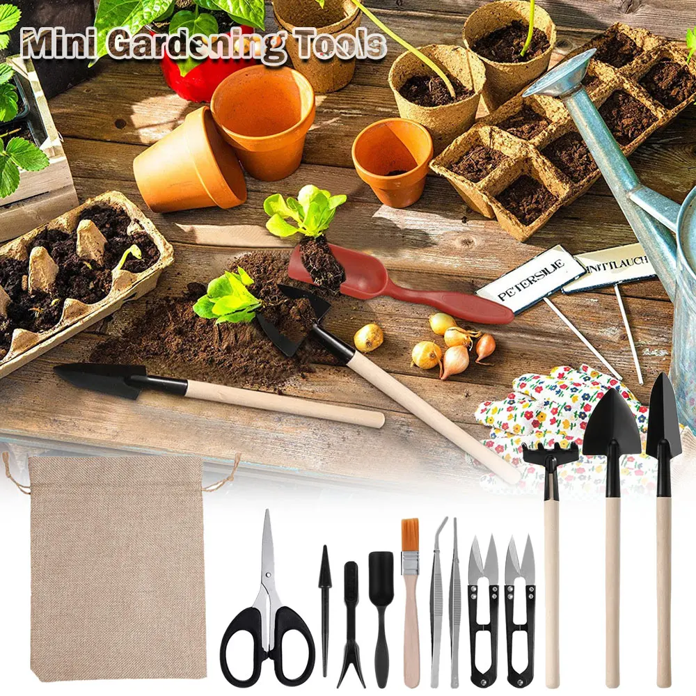مجموعة أدوات النباتات العصارية - مراجعة Succulent Set وسعره