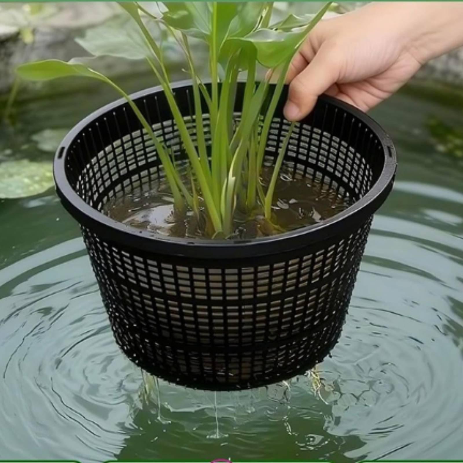 وعاء زراعة مائية بحافة عريضة و - مراجعة Plant Pot وسعره