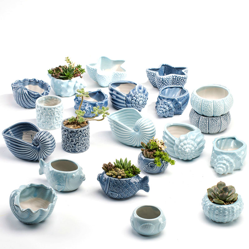 مزهرية خزفية أنيقة على الطراز  - مراجعة Snake Plant Ceramic وسعره