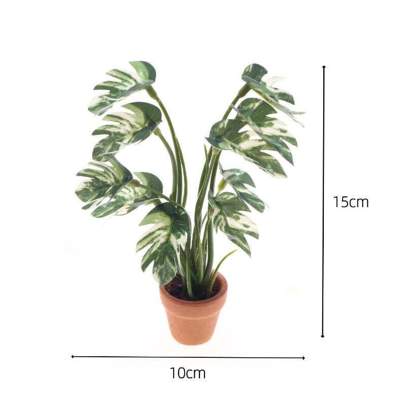جديد. نموذج نبات مونستيرا أخضر - مراجعة Plant Pot وسعره