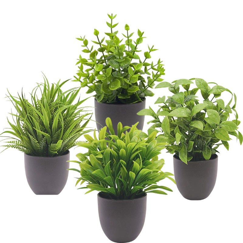 نبات بونساي اصطناعي أخضر، زينة - مراجعة Succulent Set وسعره