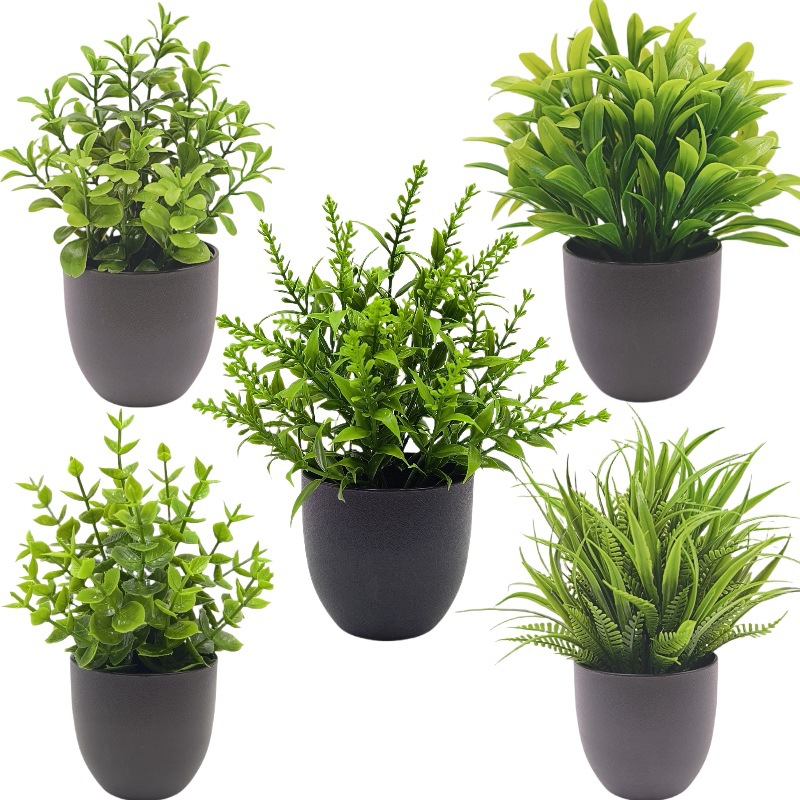 نبات بونساي اصطناعي أخضر، زينة - مراجعة Succulent Set وسعره