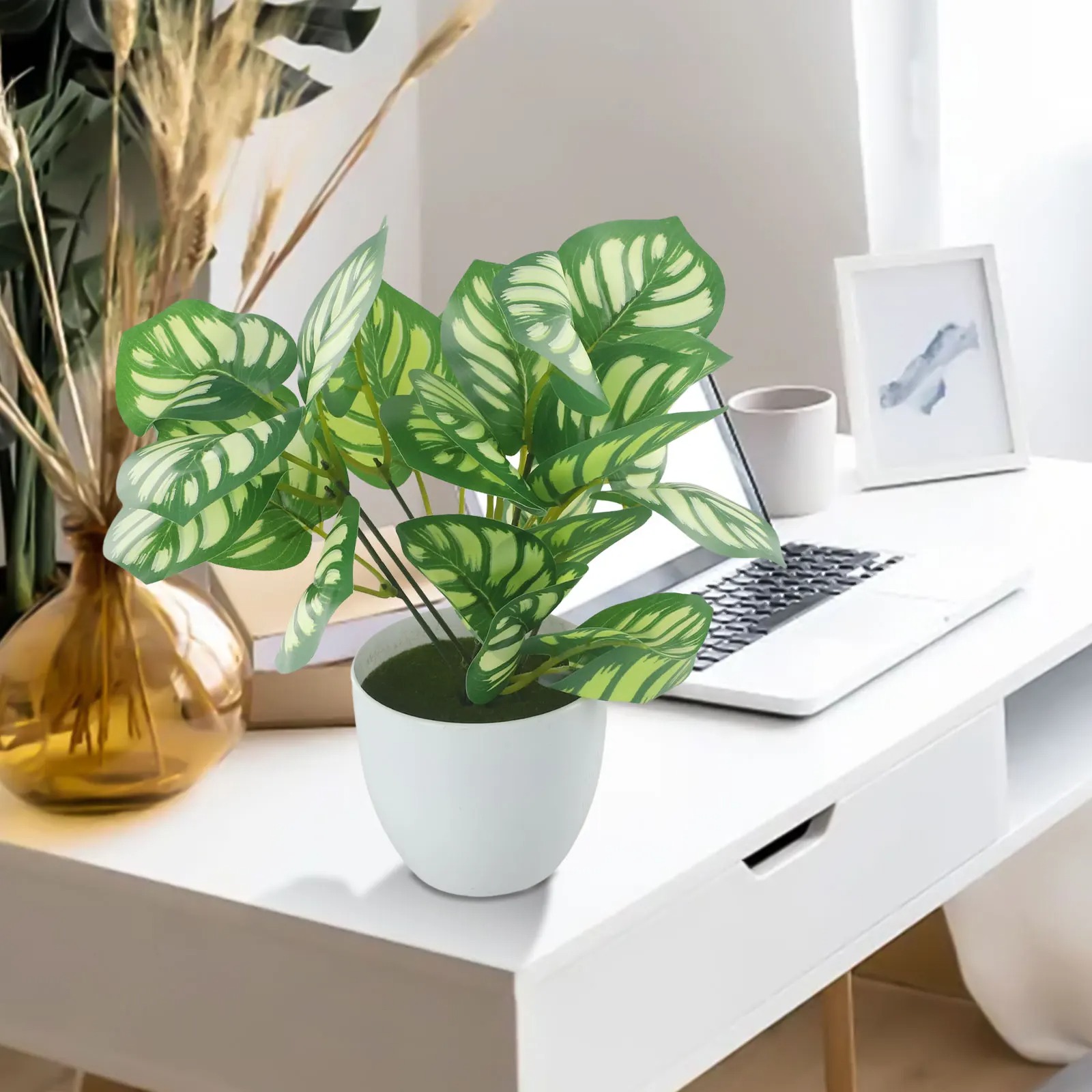 1 قطعة وعاء نبات أوراق الشجر ا - مراجعة Snake Plant وسعره
