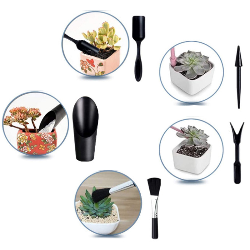 مجموعة أدوات البستنة الصغيرة ل - مراجعة Succulent Set وسعره