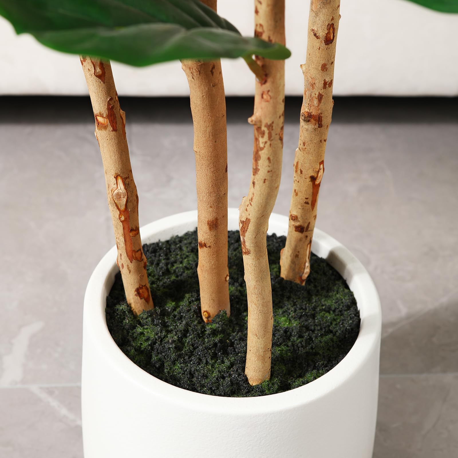 شجرة تين فايلد اصطناعية مع وعا - مراجعة Fiddle Leaf Fig وسعره