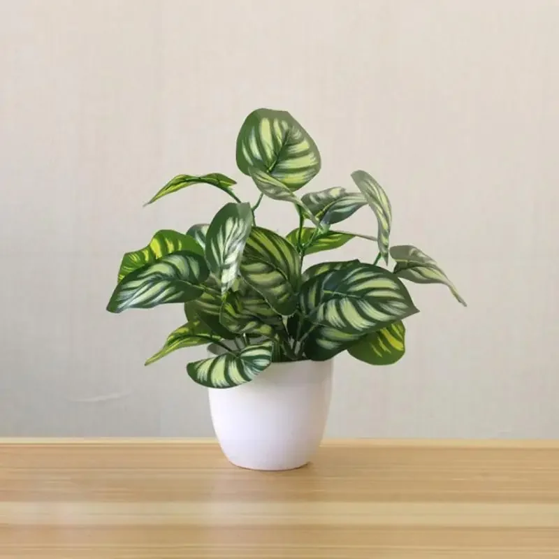 النباتات الاصطناعية بونساي الن - مراجعة Snake Plant وسعره