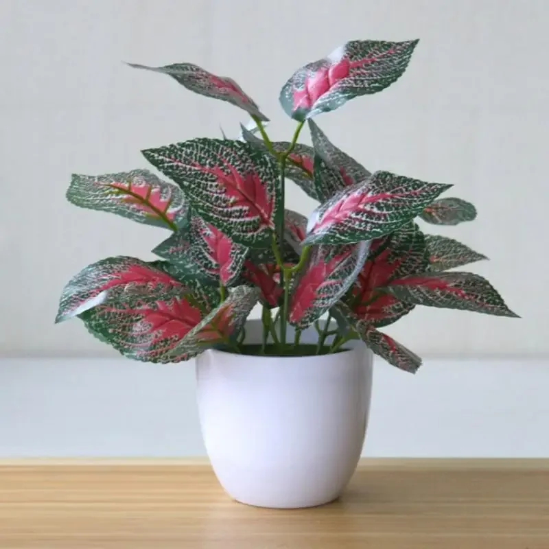 النباتات الاصطناعية بونساي الن - مراجعة Snake Plant وسعره