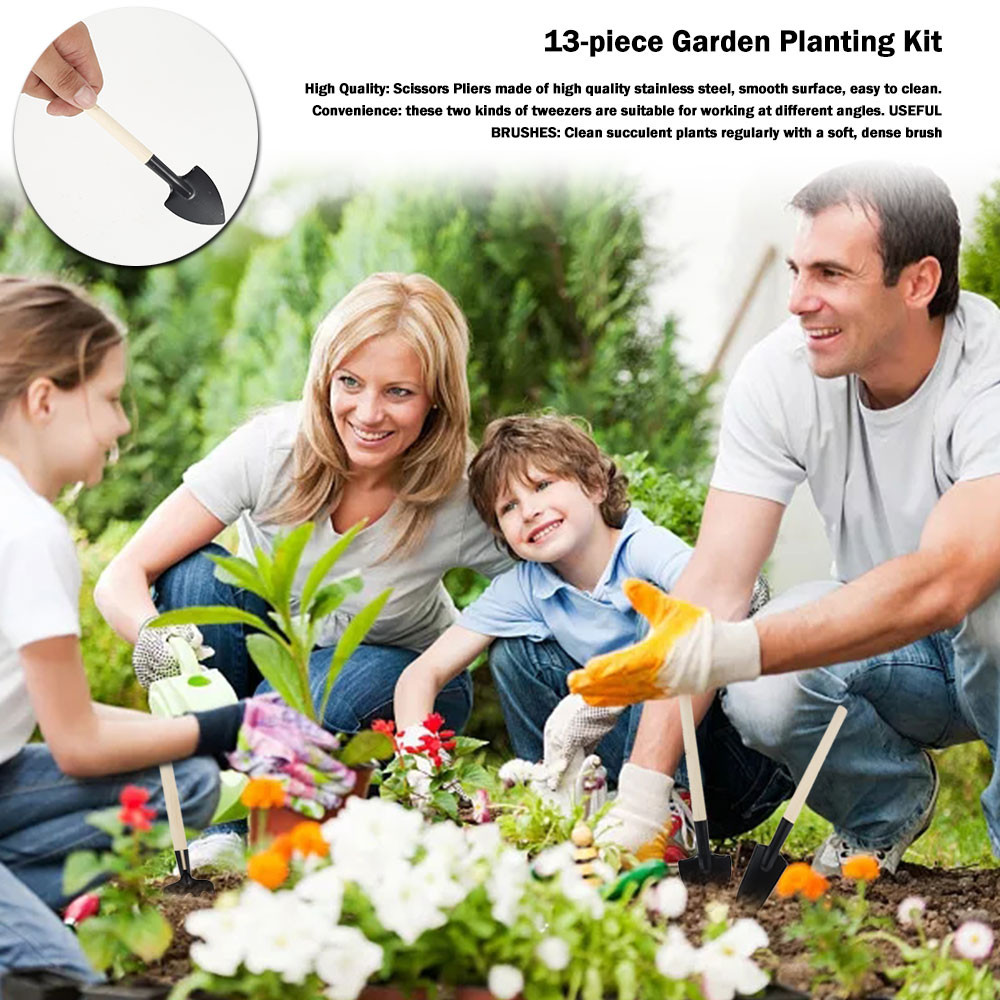 أدوات النباتات النضرة حديقة صغ - مراجعة Succulent Set وسعره