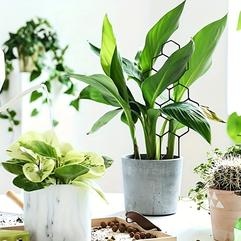 دعامة نباتات بتصميم خلية النحل - مراجعة Terracotta Pot وسعره