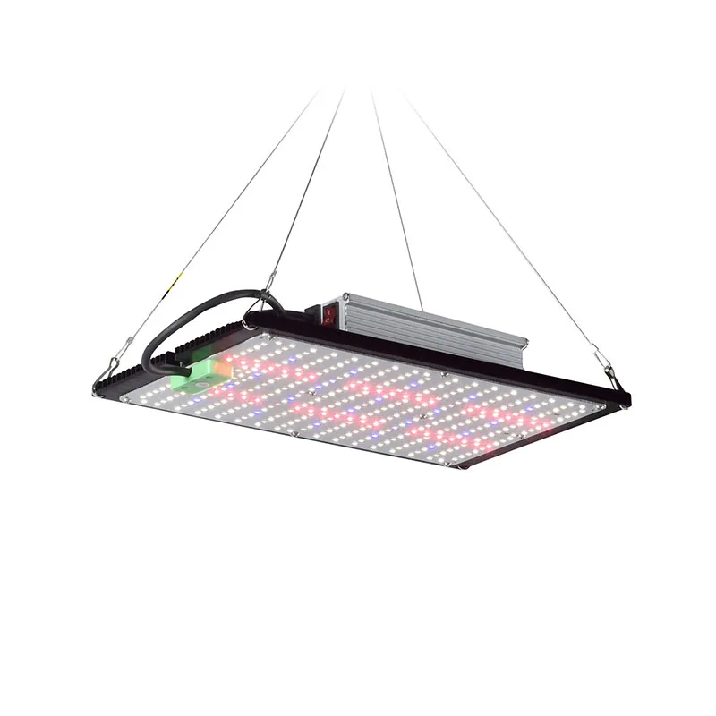 مصباح نمو LED كوانتوم-بورد كام - مراجعة Indoor Plants وسعره