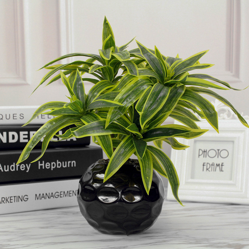 35 سنتيمتر 3 شوكة سطح المكتب ا - مراجعة Snake Plant وسعره